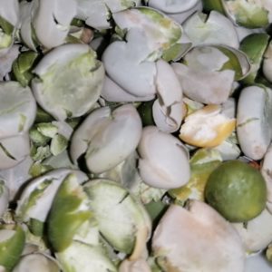 Gröna valsade ärtor 750g