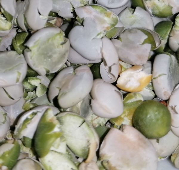 Gröna valsade ärtor 750g