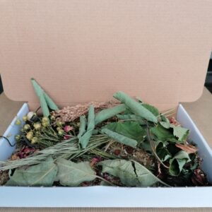 SnackBox för gnagare