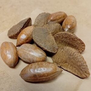 Pecan och Paranötter