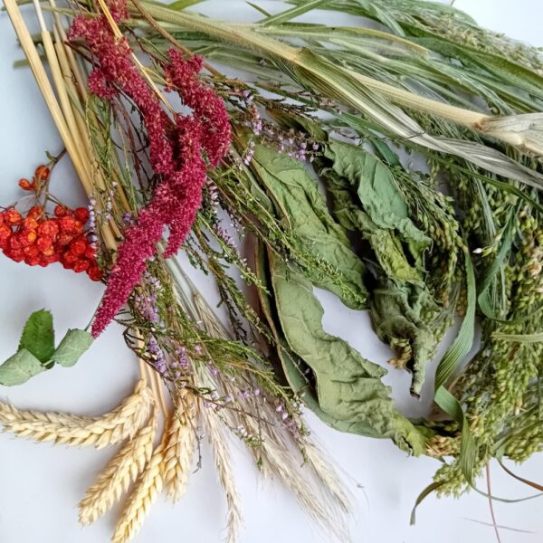 Forage feast - Bild 2