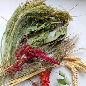 Forage feast