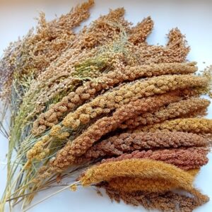 Hirskalas 400g