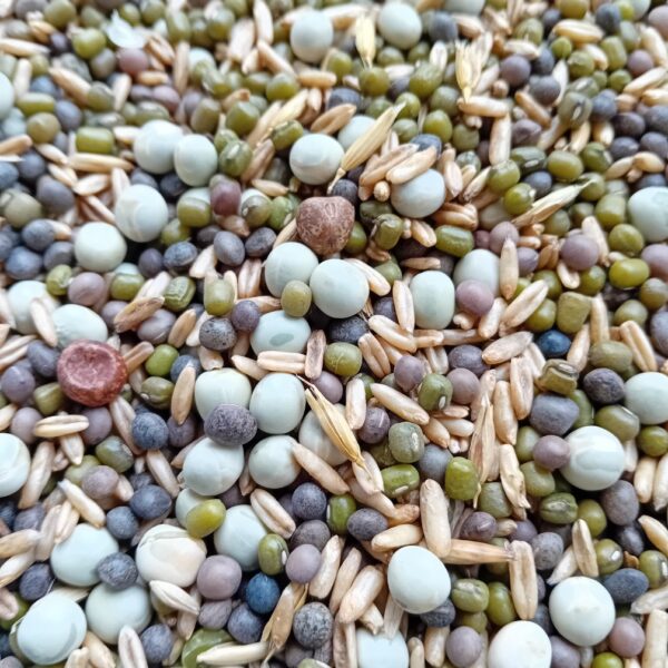 B-natural groddblandning 800g